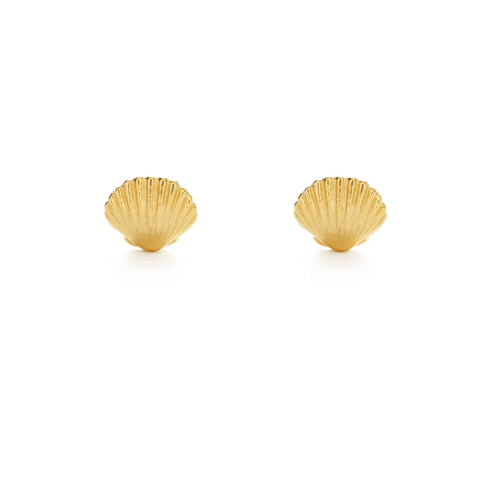 Seashell and Pearl Stud Earring Combo