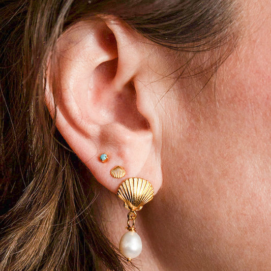 Tiny Shell Stud Earrings