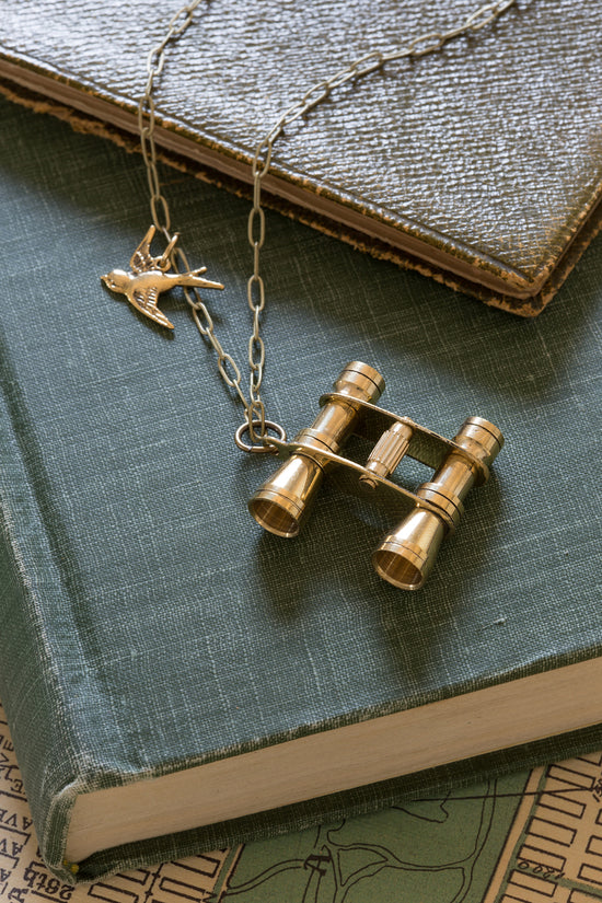Gold binoculars and bird pendant necklace on stack of books