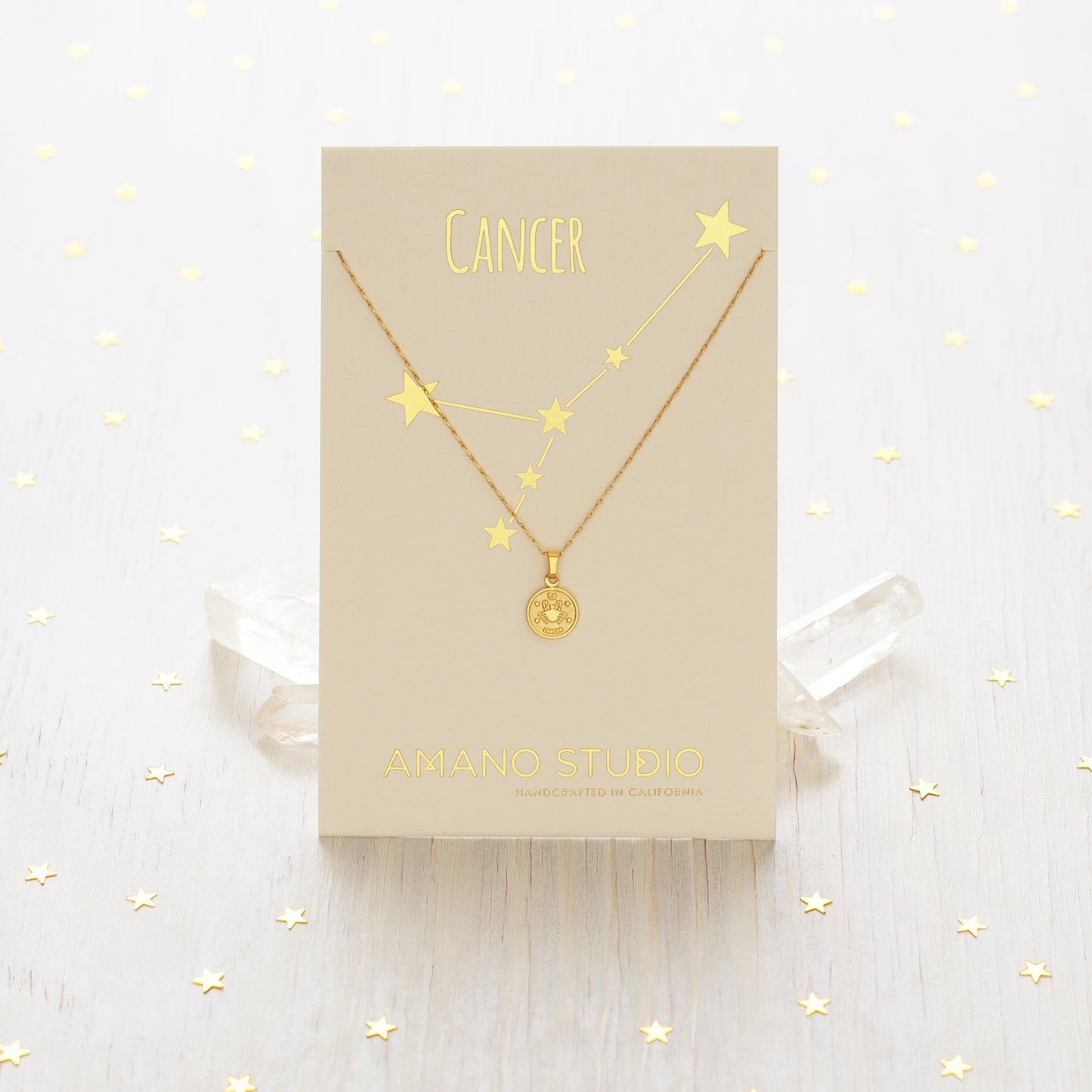 Tiny Zodiac Medallion Necklace