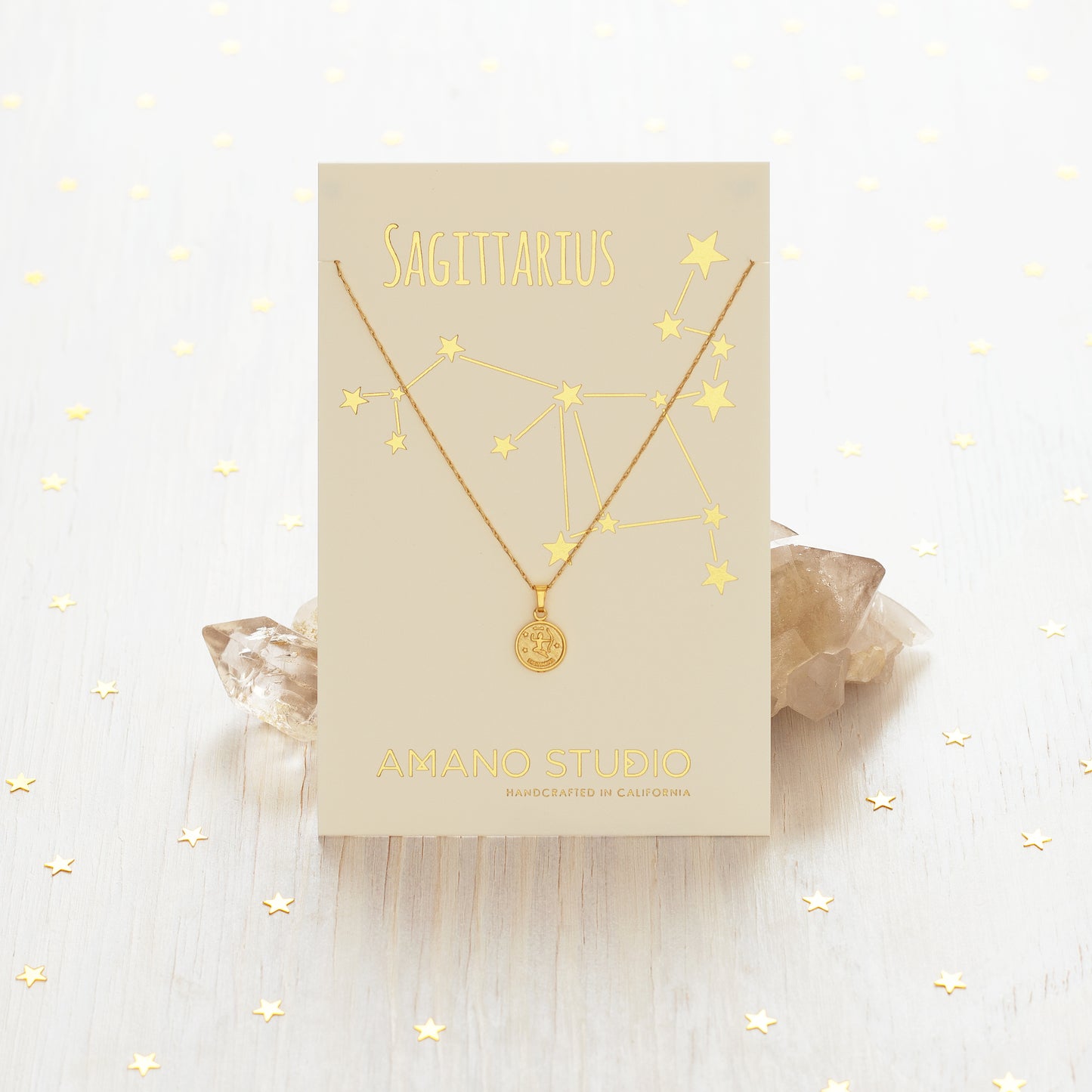 Tiny Zodiac Medallion Necklace