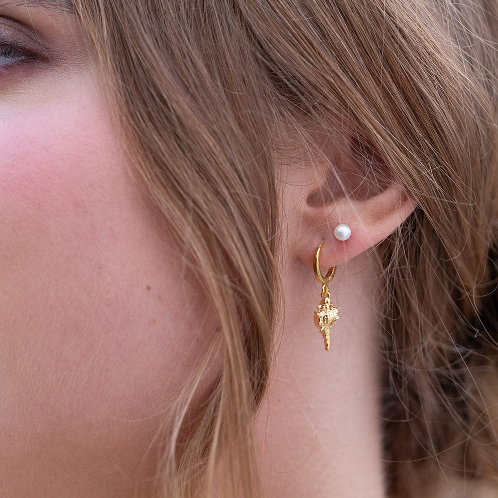 Conch Shell Huggie Hoops
