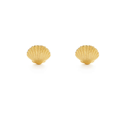 Seashell and Pearl Stud Earring Combo