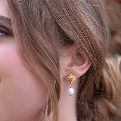 Shell + Pearl Drop Earrings