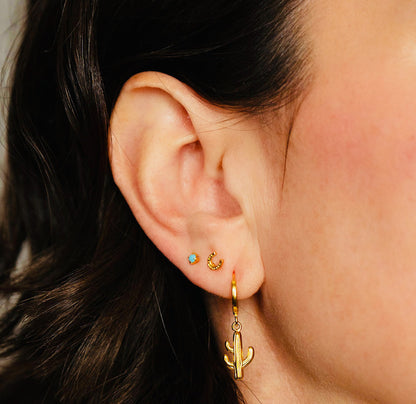 Montana Stud Earring Combo