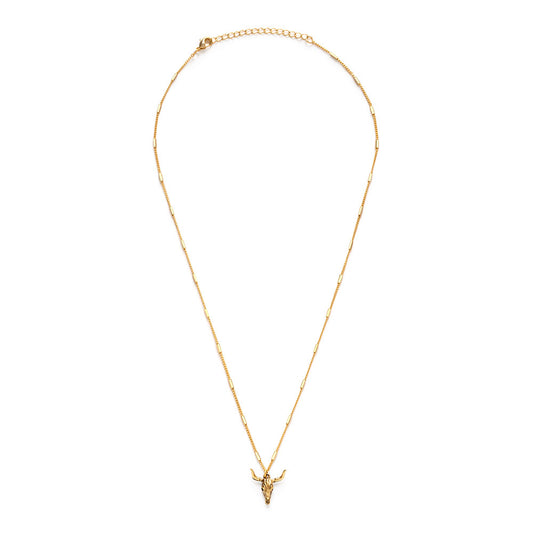 Long Horn Skull Necklace